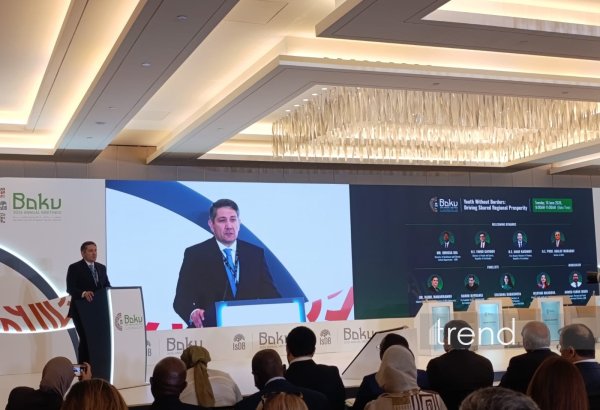 Youth represents one of greatest opportunities for development - Azerbaijani official