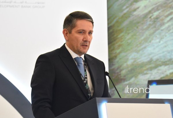 Azerbaijan expects early introduction of new Islamic finance projects - deputy minister