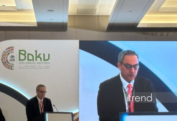 Global halal economy becomes one of fastest growing sectors of world economy - IsDB