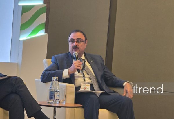 Azerbaijan notably upgrades its grid infrastructure to integrate green energy - Masdar