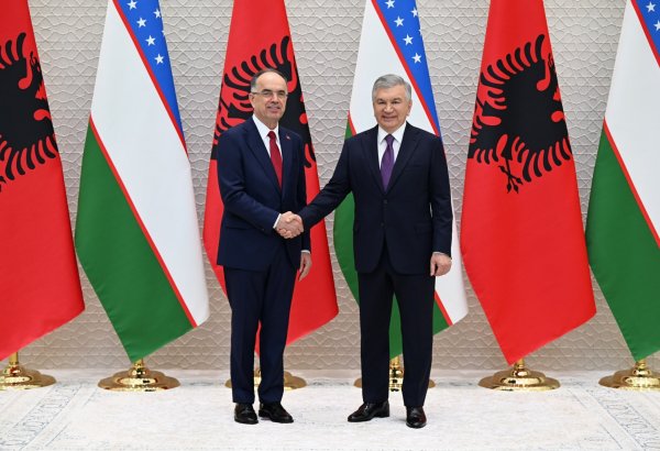 President of Uzbekistan meets Albanian President in Tashkent
