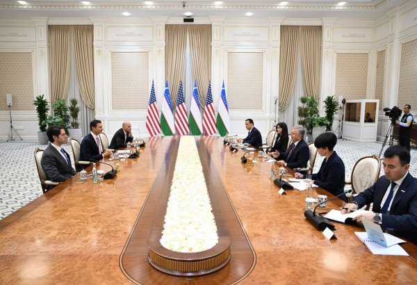 Mirziyoyev meets U.S.-based EXIM Bank and DFC chiefs in Tashkent