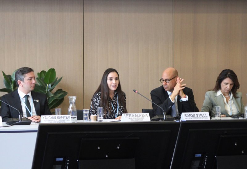 Leyla Aliyeva participates in Bonn discussion on environmental impact of Caspian Sea’s declining water level (PHOTO)