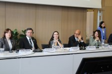 Leyla Aliyeva participates in Bonn discussion on environmental impact of Caspian Sea’s declining water level (PHOTO)