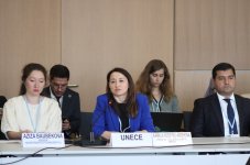 Leyla Aliyeva participates in Bonn discussion on environmental impact of Caspian Sea’s declining water level (PHOTO)