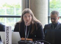 Leyla Aliyeva participates in Bonn discussion on environmental impact of Caspian Sea’s declining water level (PHOTO)