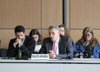 Leyla Aliyeva participates in Bonn discussion on environmental impact of Caspian Sea’s declining water level (PHOTO)