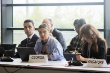Leyla Aliyeva participates in Bonn discussion on environmental impact of Caspian Sea’s declining water level (PHOTO)