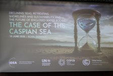 Leyla Aliyeva participates in Bonn discussion on environmental impact of Caspian Sea’s declining water level (PHOTO)