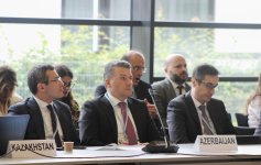 Leyla Aliyeva participates in Bonn discussion on environmental impact of Caspian Sea’s declining water level (PHOTO)