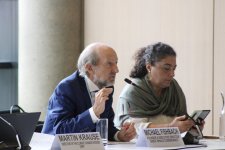 Leyla Aliyeva participates in Bonn discussion on environmental impact of Caspian Sea’s declining water level (PHOTO)