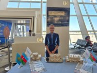 AZAL adds Baku–Shymkent route in push to expand regional network (PHOTO)