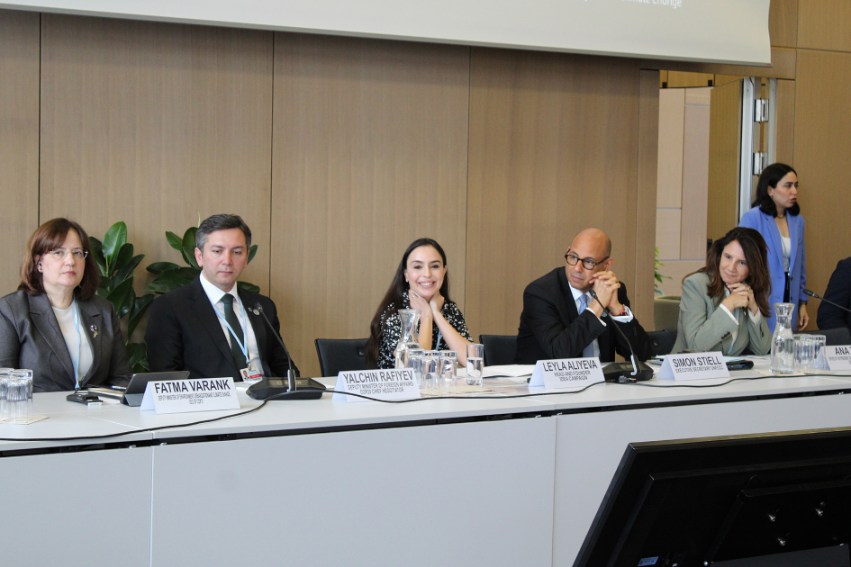 Leyla Aliyeva participates in Bonn discussion on environmental impact of Caspian Sea’s declining water level (PHOTO)