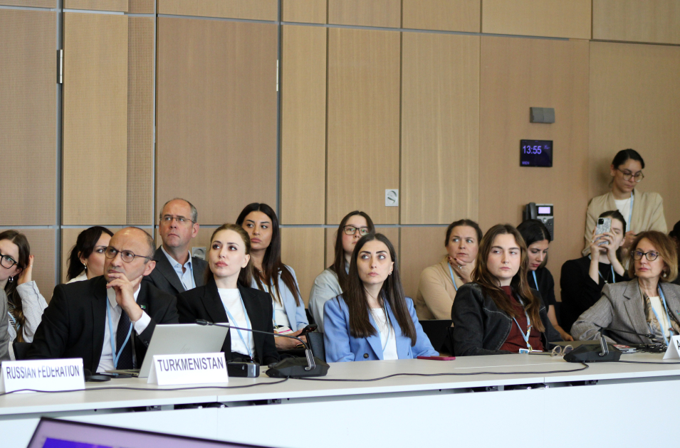 Leyla Aliyeva participates in Bonn discussion on environmental impact of Caspian Sea’s declining water level (PHOTO)