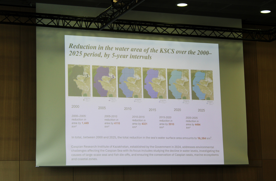 Leyla Aliyeva participates in Bonn discussion on environmental impact of Caspian Sea’s declining water level (PHOTO)