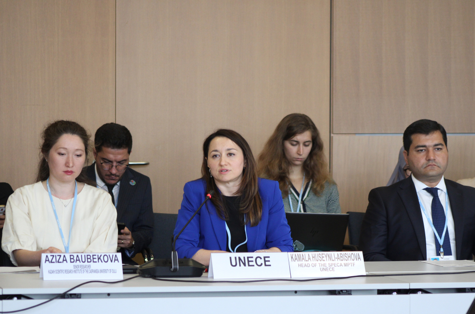 Leyla Aliyeva participates in Bonn discussion on environmental impact of Caspian Sea’s declining water level (PHOTO)