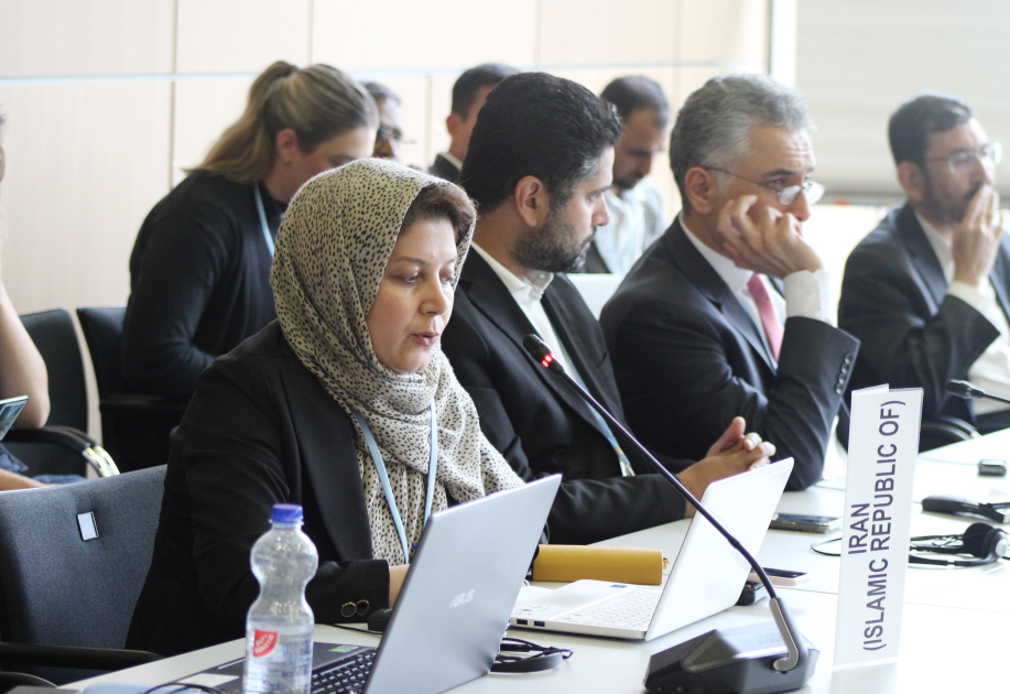 Leyla Aliyeva participates in Bonn discussion on environmental impact of Caspian Sea’s declining water level (PHOTO)