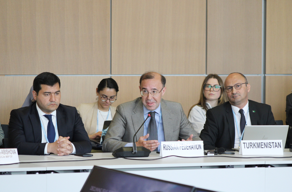 Leyla Aliyeva participates in Bonn discussion on environmental impact of Caspian Sea’s declining water level (PHOTO)