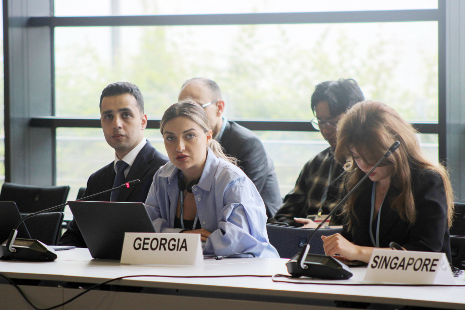 Leyla Aliyeva participates in Bonn discussion on environmental impact of Caspian Sea’s declining water level (PHOTO)