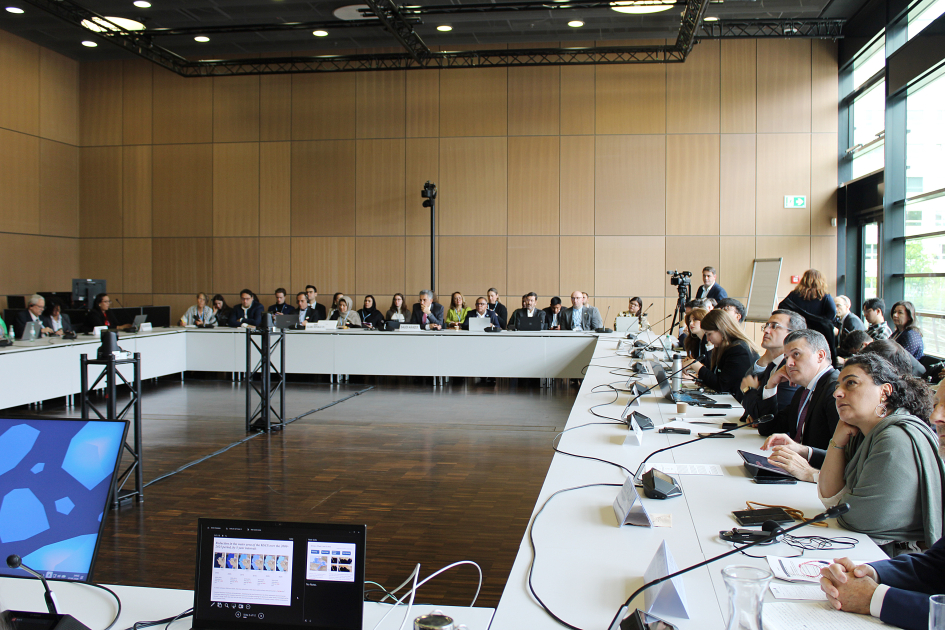 Leyla Aliyeva participates in Bonn discussion on environmental impact of Caspian Sea’s declining water level (PHOTO)