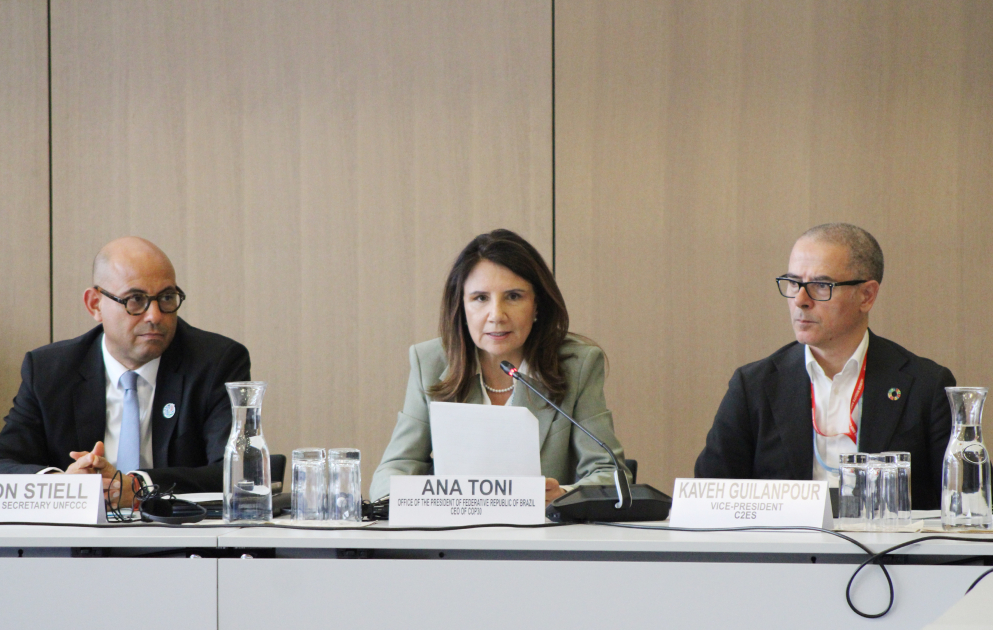 Leyla Aliyeva participates in Bonn discussion on environmental impact of Caspian Sea’s declining water level (PHOTO)