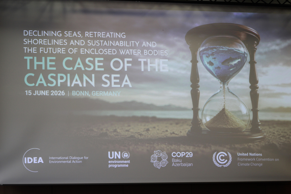 Leyla Aliyeva participates in Bonn discussion on environmental impact of Caspian Sea’s declining water level (PHOTO)