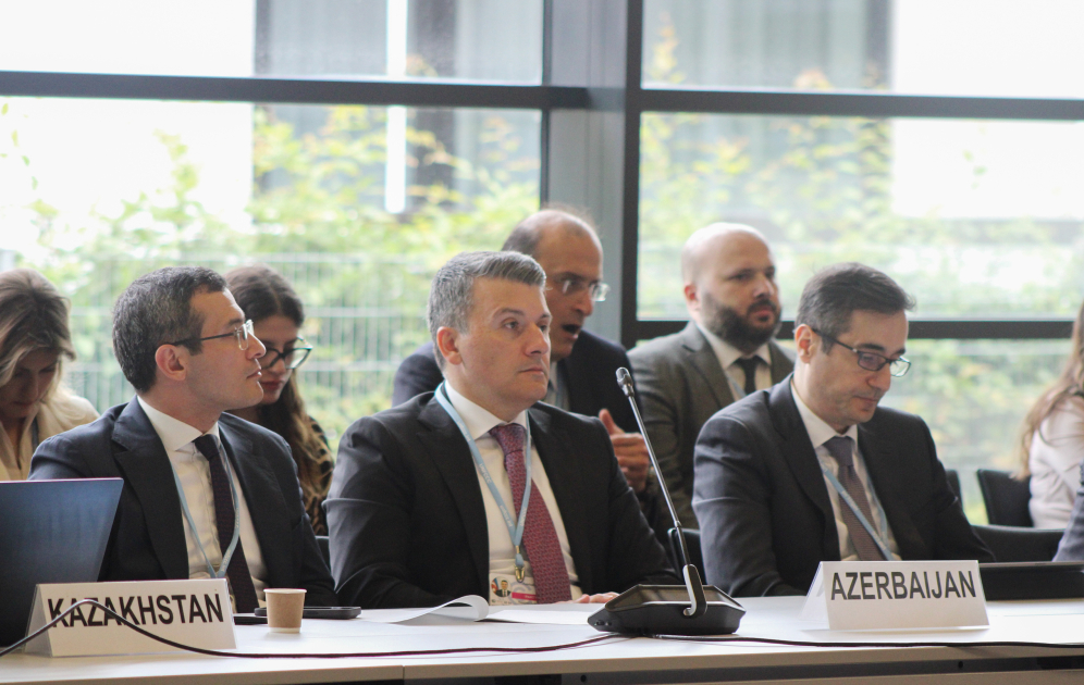 Leyla Aliyeva participates in Bonn discussion on environmental impact of Caspian Sea’s declining water level (PHOTO)