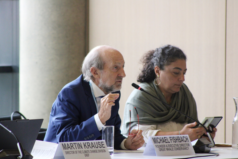 Leyla Aliyeva participates in Bonn discussion on environmental impact of Caspian Sea’s declining water level (PHOTO)