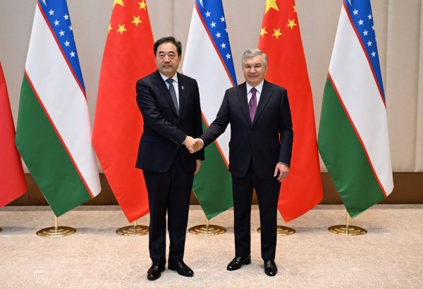 Uzbekistan seeks faster expansion of green energy projects with Chinese firms