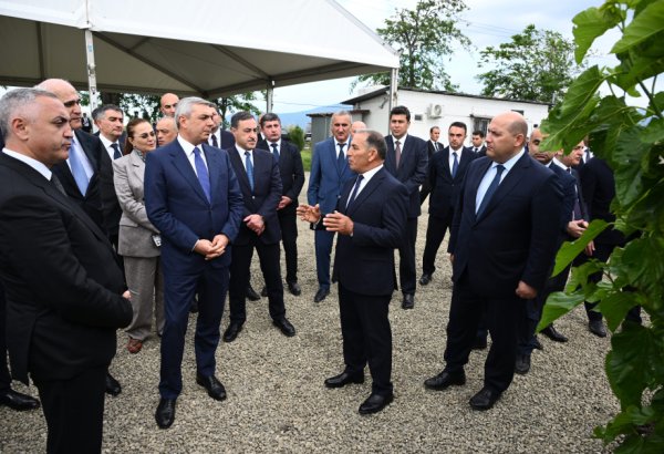 Infrastructure created for sericulture development inspected in Dashbulag village of Khojaly (PHOTO)