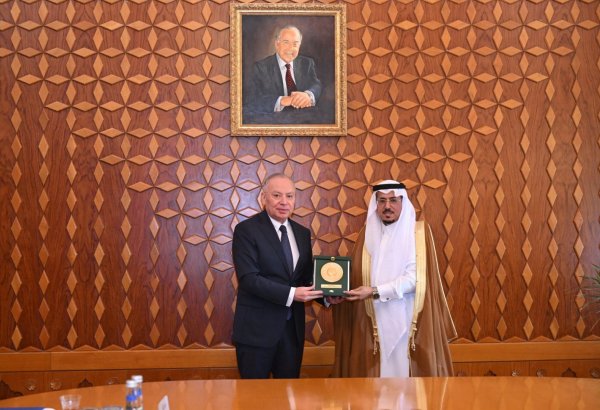 Azerbaijan and OIC discuss cooperation in human rights protection