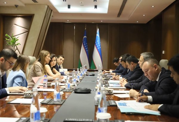 Uzbekistan, EBRD discuss $2 billion energy cooperation portfolio
