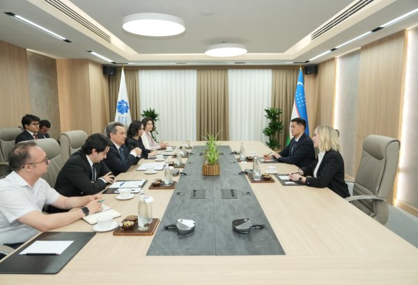 Uzbekistan, Meta discuss digital economy growth, AI skills development