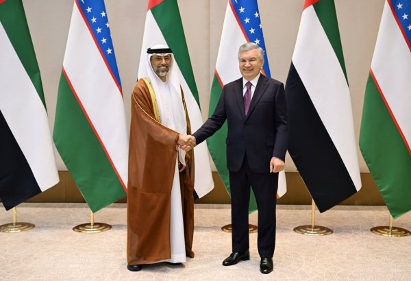 Uzbek President seeks faster implementation of investment projects with UAE
