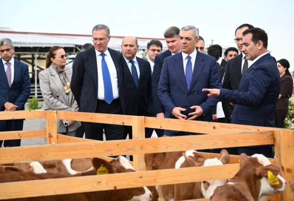 Participants of Coordination Headquarters meeting visit “Goch Et” Livestock Complex in Khojaly (PHOTO)