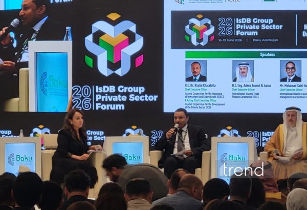 Political risk insurance turns regional projects into attractive investments, ICIEC says