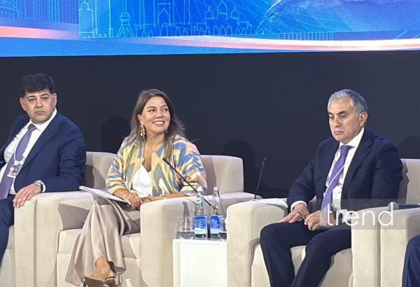 Azerbaijan plays key role in modern transport routes between Europe and Asia - AZPROMO