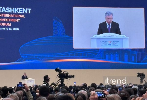 Uzbekistan expands artificial intelligence push across economy, President says