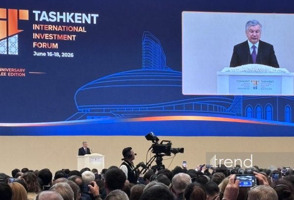 Uzbekistan's economy enters phase of new opportunities – President Mirziyoyev (PHOTO)