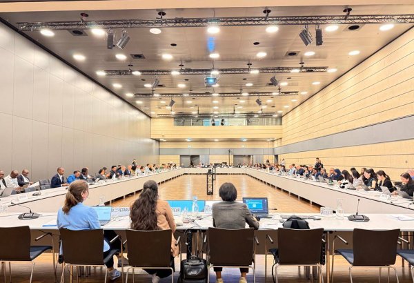 Uzbekistan highlights climate progress at U.N. session in Bonn