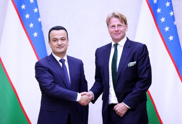 Uzbek minister meets UK healthcare firm on new treatment facility plans