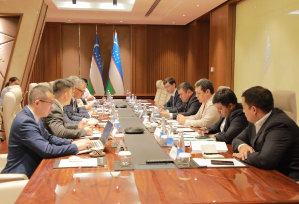 Uzbekistan moves to localize wind turbine production with Chinese companies