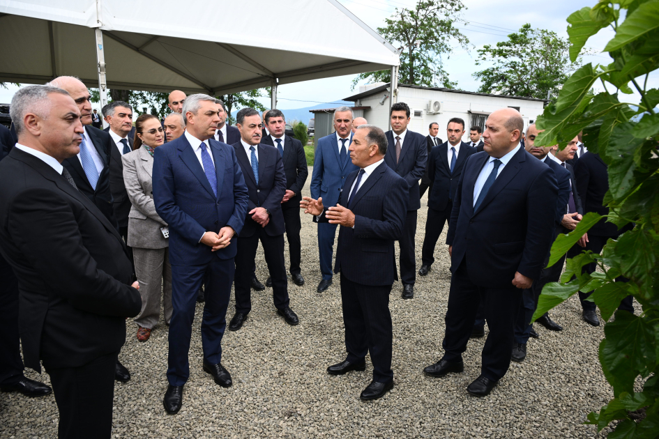 Infrastructure created for sericulture development inspected in Dashbulag village of Khojaly (PHOTO)