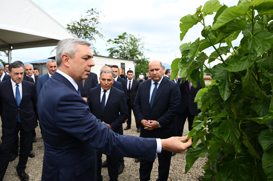 Infrastructure created for sericulture development inspected in Dashbulag village of Khojaly (PHOTO)