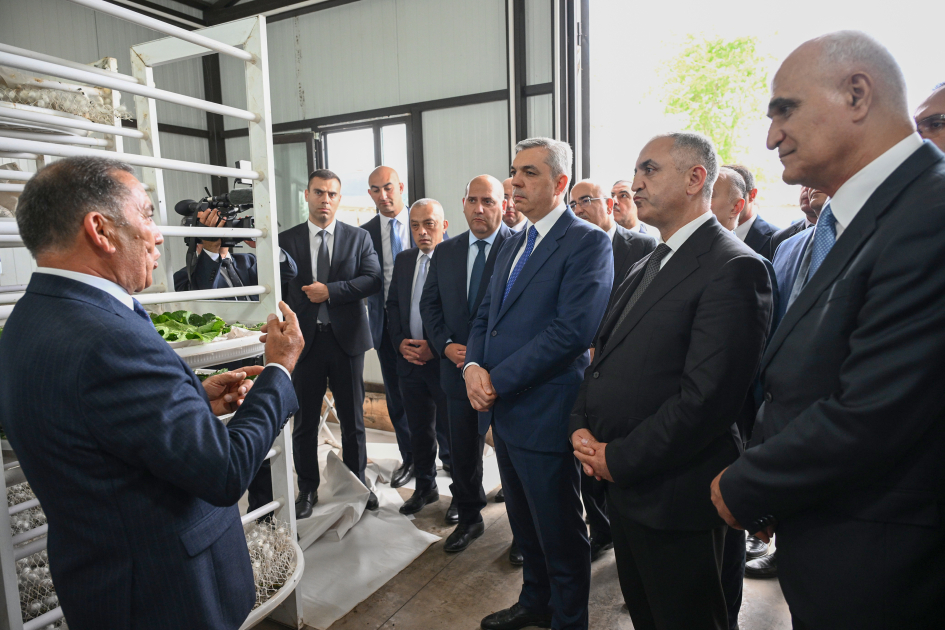 Infrastructure created for sericulture development inspected in Dashbulag village of Khojaly (PHOTO)