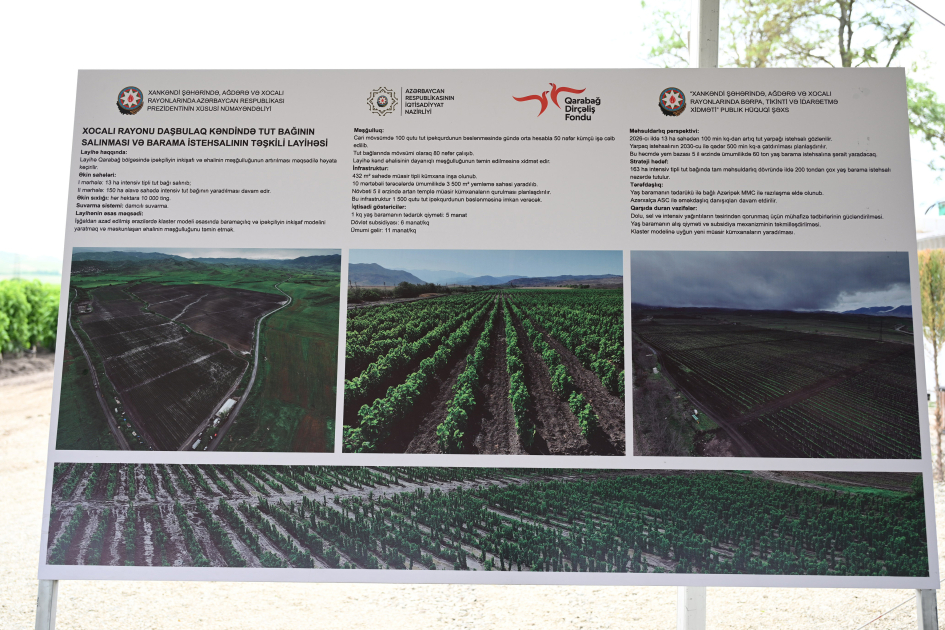 Infrastructure created for sericulture development inspected in Dashbulag village of Khojaly (PHOTO)