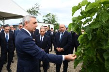 Infrastructure created for sericulture development inspected in Dashbulag village of Khojaly (PHOTO)