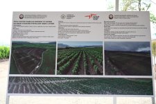Infrastructure created for sericulture development inspected in Dashbulag village of Khojaly (PHOTO)