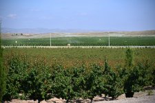 Coordination Headquarters members begin visit to Aghdara and Khojaly districts (PHOTO)