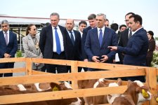 Participants of Coordination Headquarters meeting visit “Goch Et” Livestock Complex in Khojaly (PHOTO)